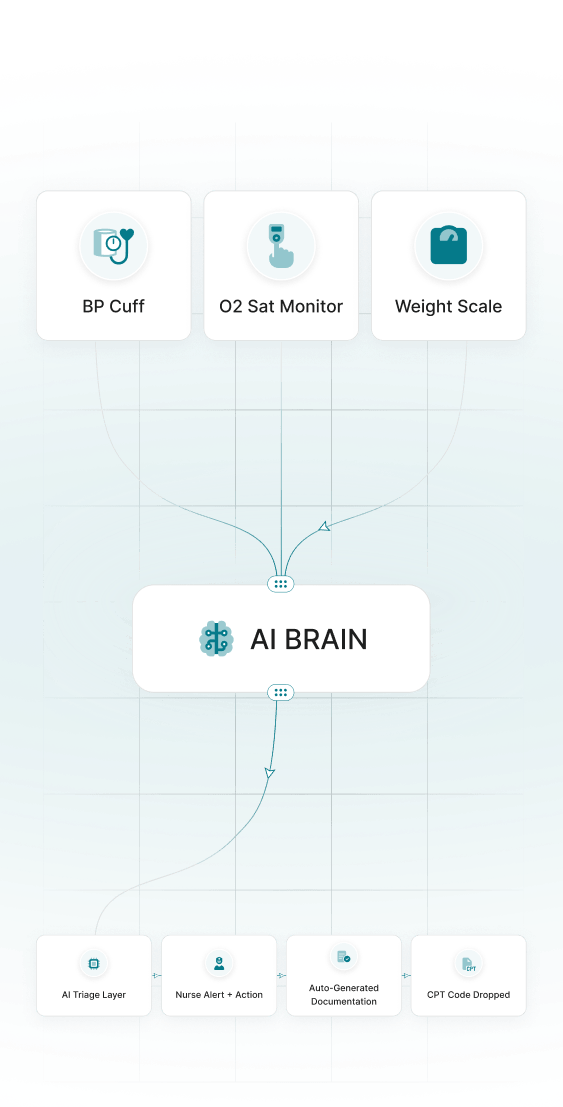 Steno's RPM workflow diagram